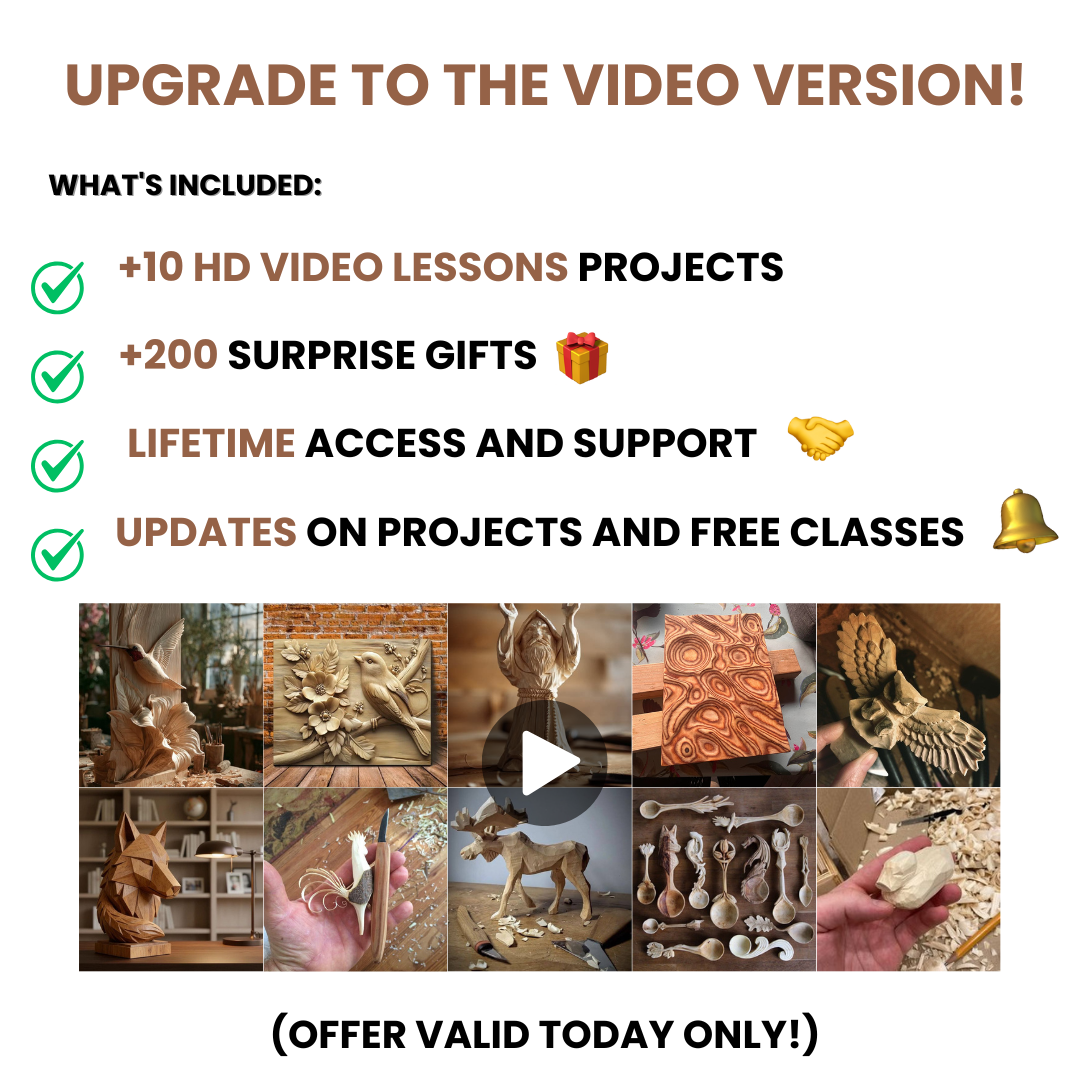 The Master Carver's Video Collection